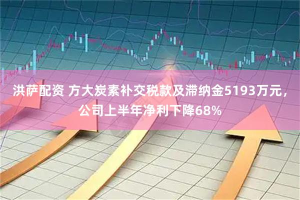 洪萨配资 方大炭素补交税款及滞纳金5193万元，公司上半年净利下降68%