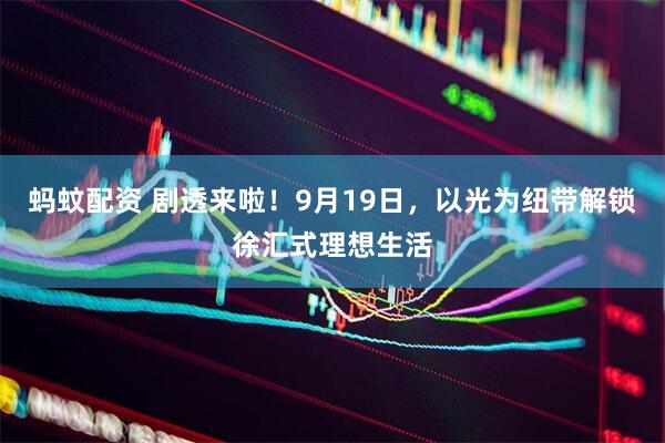 蚂蚊配资 剧透来啦！9月19日，以光为纽带解锁徐汇式理想生活