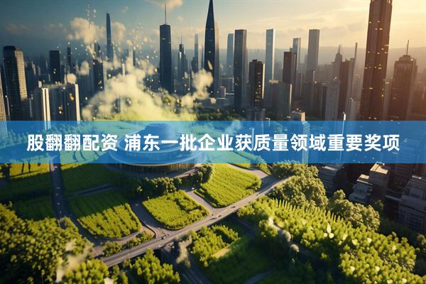 股翻翻配资 浦东一批企业获质量领域重要奖项