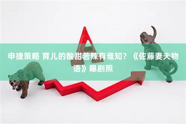 申捷策略 育儿的酸甜苦辣有谁知？《佐藤妻夫物语》曝剧照