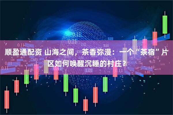 顺盈通配资 山海之间，茶香弥漫：一个“茶宿”片区如何唤醒沉睡的村庄？