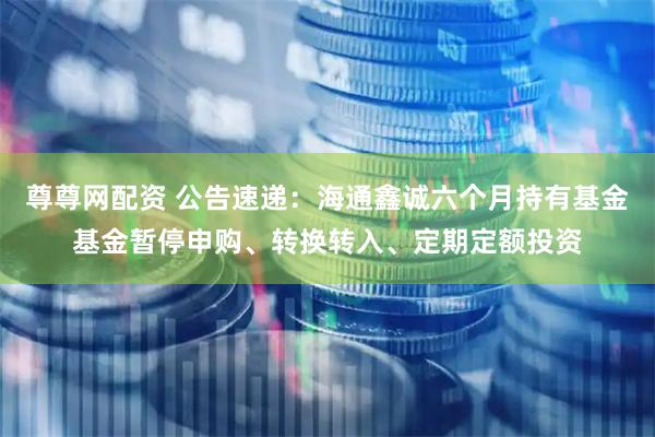 尊尊网配资 公告速递：海通鑫诚六个月持有基金基金暂停申购、转换转入、定期定额投资