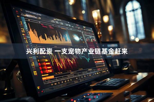 兴利配资 一支宠物产业链基金赶来