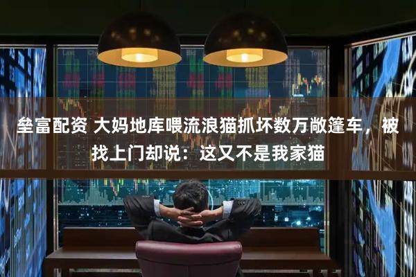 垒富配资 大妈地库喂流浪猫抓坏数万敞篷车，被找上门却说：这又不是我家猫